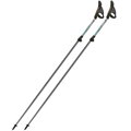 FIZAN Nordic Walking Carbon Pro IMPULSE (strieborno-belasé)