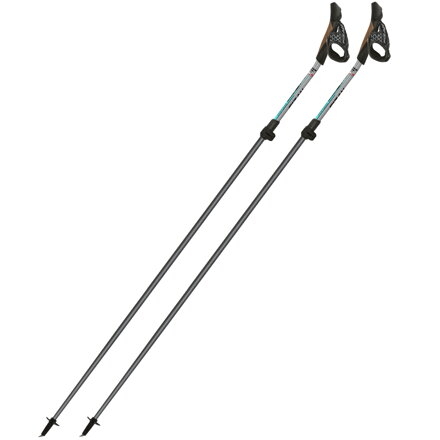 FIZAN Nordic Walking Carbon Pro IMPULSE (strieborno-belasé)