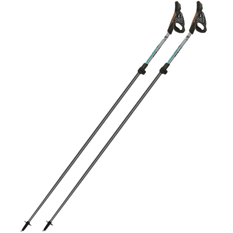 FIZAN Nordic Walking Carbon Pro IMPULSE (strieborno-belasé)